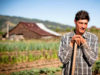 DreamingTreeWine_Thumb_1